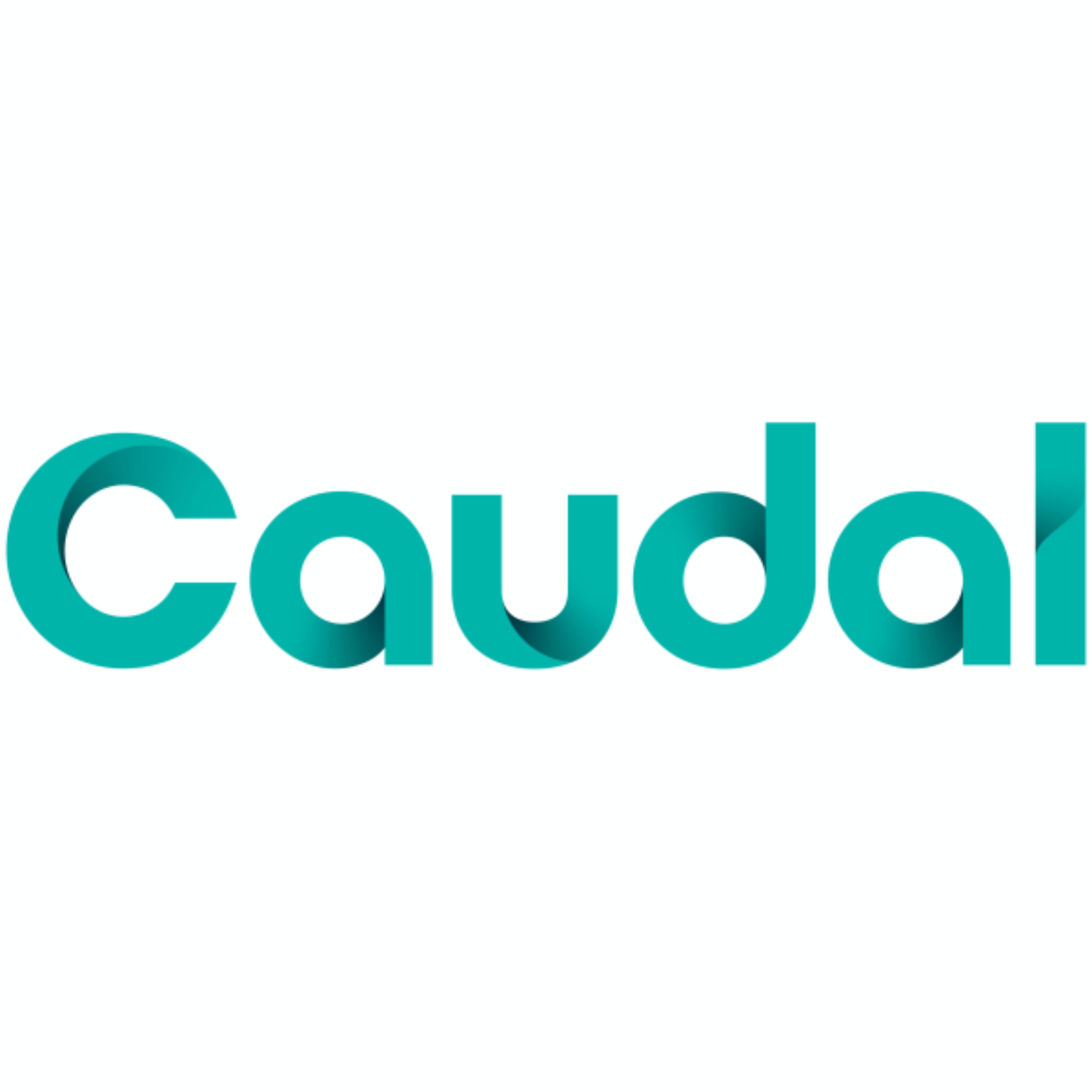 CAUDAL